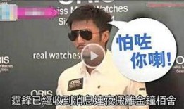 港媒爆料图片大全集视频,图片大全集视频深度解析